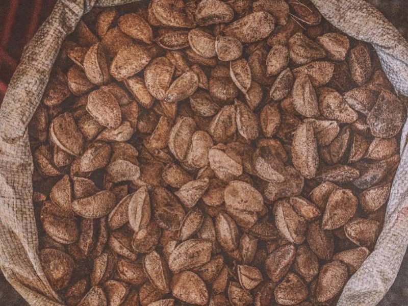 Adriano GAmbarini/OPAN