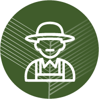 icones_Prancheta 1 co╠üpia 3