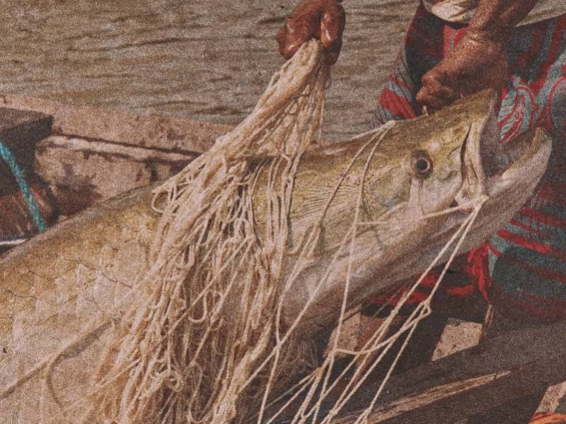 Bernardo Oliveira/OPAN